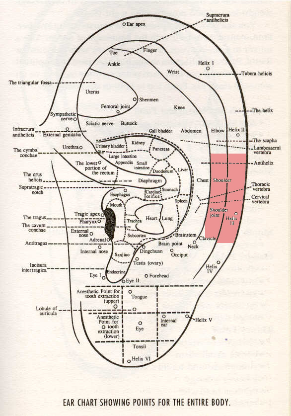 Morning Sickness Chart